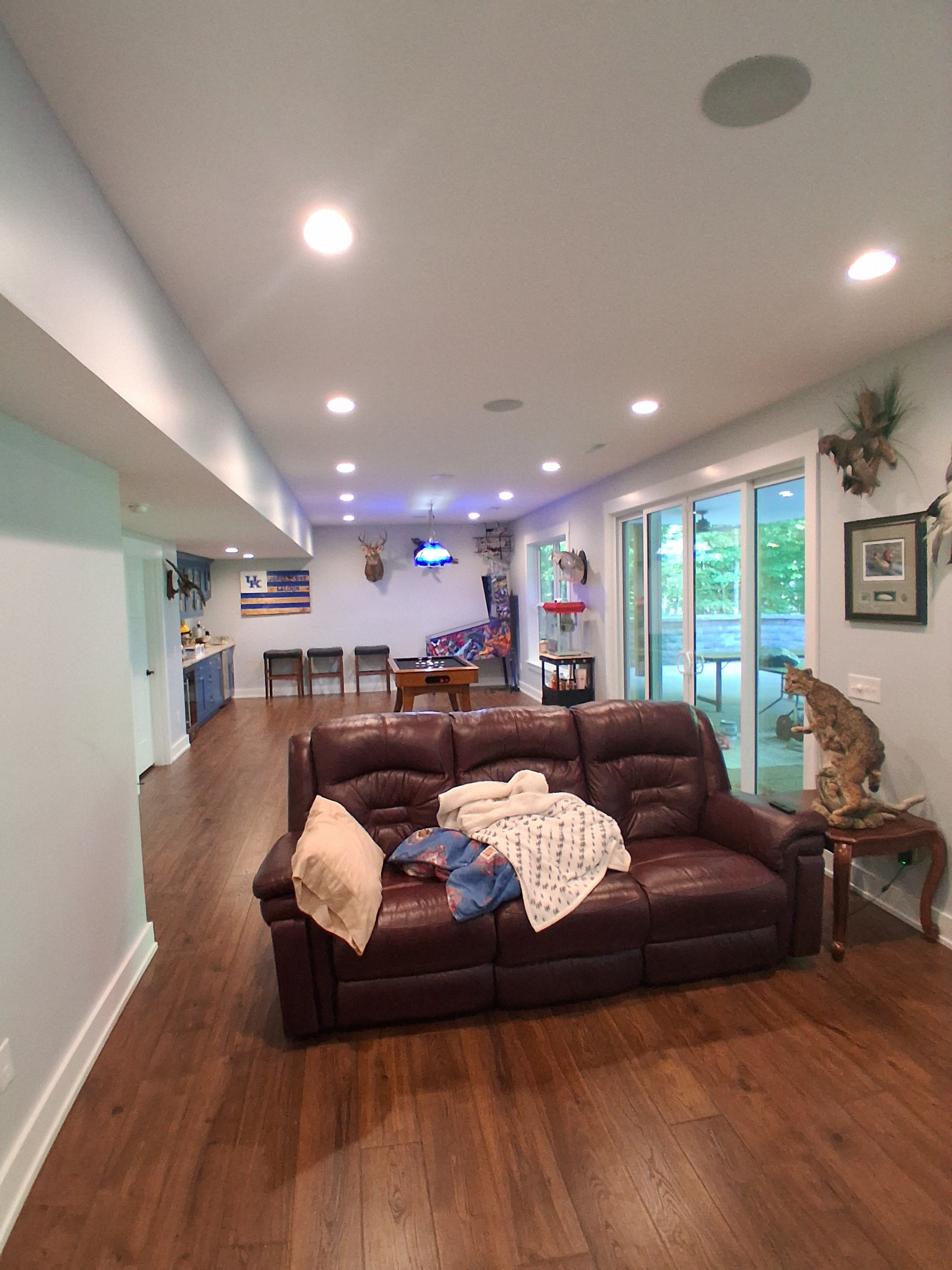 Living room with skylight